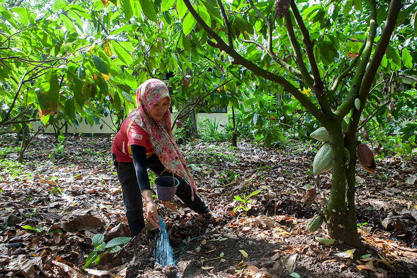 JB Cocoa Joins as General Assembly Member, and PT. Pupuk Kalimantan Timur as Supervisory Board Member of CSP