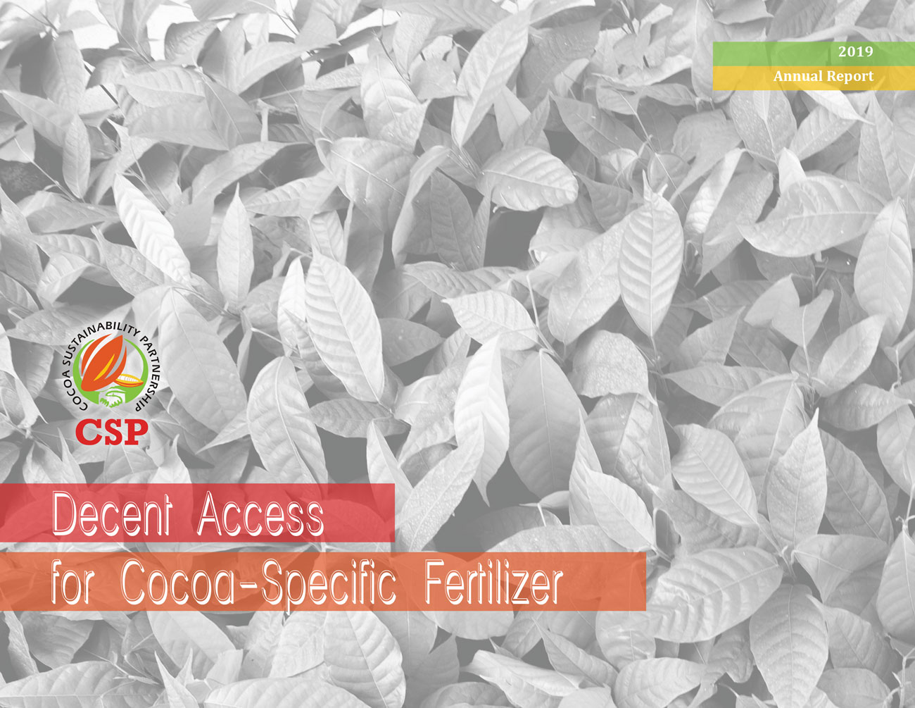 CSP Annual Report 2019