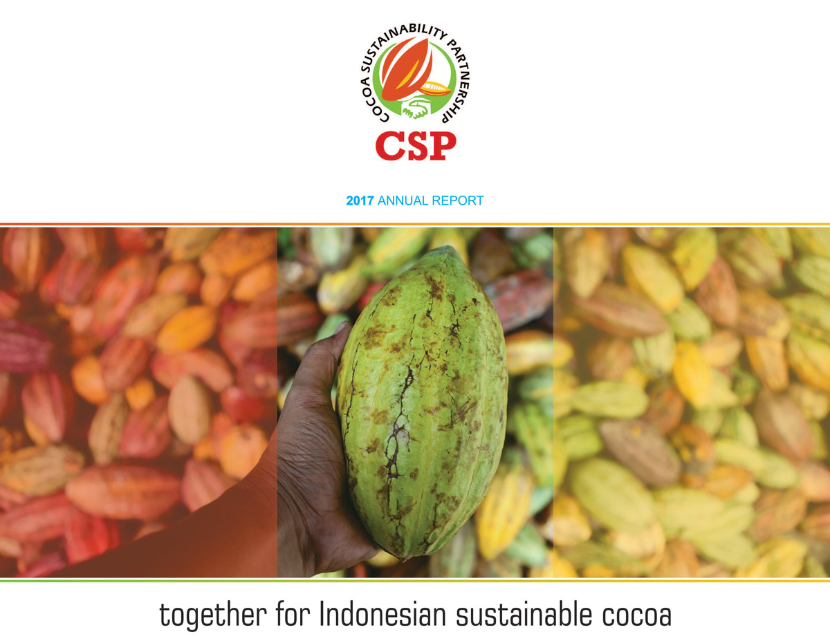 CSP Annual Report 2017