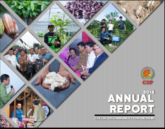CSP Annual Report 2018