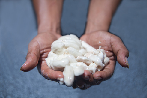 Job Vacancy: Program Manager