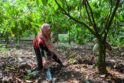 JB Cocoa Joins as General Assembly Member, and PT. Pupuk Kalimantan Timur as Supervisory Board Member of CSP