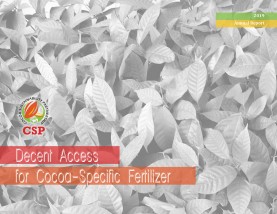 CSP Annual Report 2019