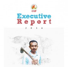 CSP Executive Report 2016