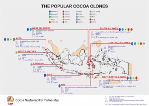 Popular Cocoa Clones Distribution in Indonesia